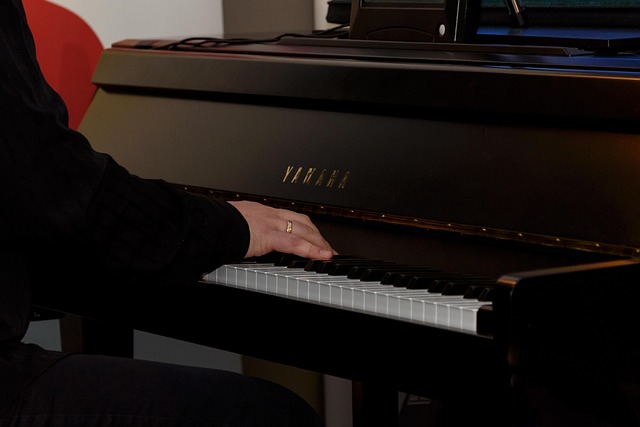 koncert vážné hudby